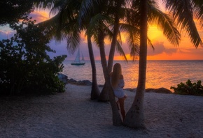 �����, ����������� �������, ������, �����