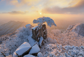 ����, ������, Nathaniel Merz, ����, �����, �����