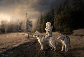 �������, ������, ����