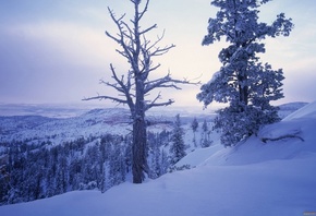 ����, ����, ���, �������, �����