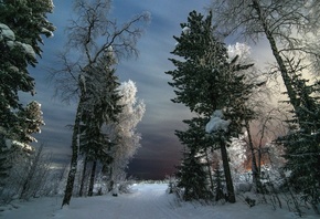 ����, ����, ���