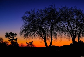 ����, ����, �������