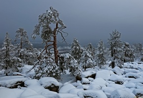 ����, ����, ���, �������