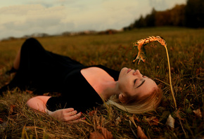 ���, �������, �����