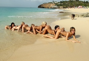 beach, group, sea, 6 babes, six, doggy, dog, lesbian, human centipede, sash ...