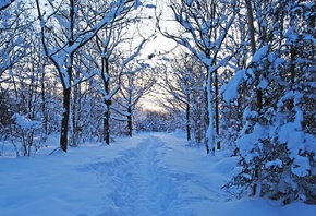 ������, �������, ������ ����, ����