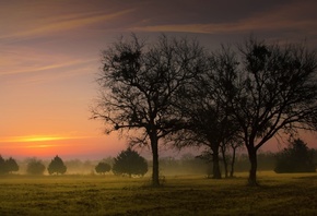 ����, �������, �����, ���