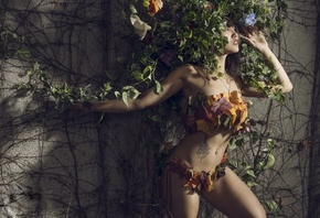 �������, �������, �����