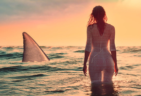 �������, �����, �����, ������