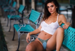 �������, �����, �����, ������