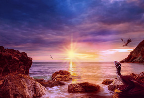 ����, ����, �������, ���