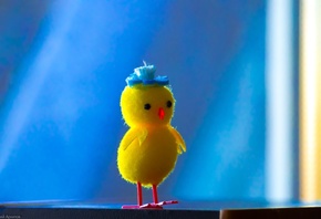 ��������, �������, ���