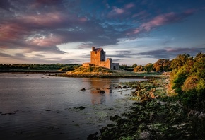 �����, ������, ����, ����