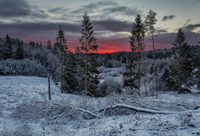 ����, ����, ���, �������