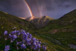 пейзаж, цветы, горы, природа, ручей, радуга, долина, Колорадо, США, аквилег ...