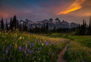 , , , , , , , , , , , , , Mount Rainier, -, Doug Shearer