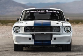 ford, mustang, gt350, 1965