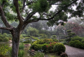 ����, �������, �����, �����