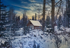 ����, ����, ���