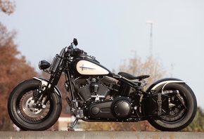 harley davidson, ��������, ����