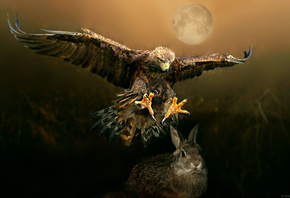 �����, ����, ����, ����