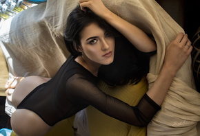 �������, ������, ��������, Jack Russell