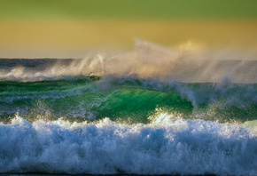 ����, ������, �����