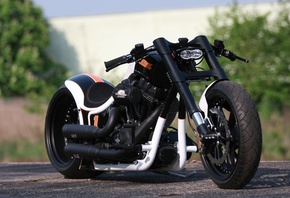 harley davidson, custom, thunderbike