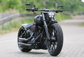 harley davidson, custom, thunderbike