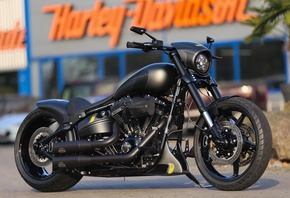 harley davidson, custom, thunderbike