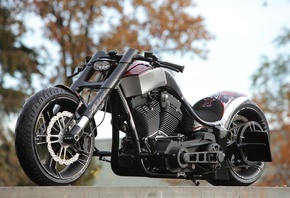 harley davidson, custom, thunderbike