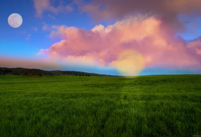 �����, ���, �����, ����