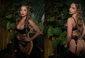 ���� �������, ������, �����