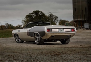 plymouth, cuda, convertible