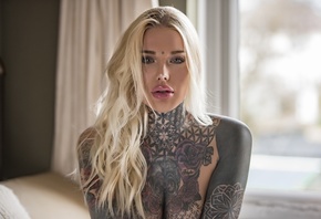 �������, ������, ��������, Jack Russell