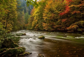 ��������, �������, ����, �����, �������