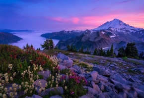 природа, пейзаж, цветы, горы, камни, Каскадные горы, США, Washington State, Вашингтон, облака, утро, рассвет