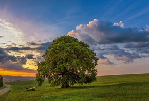 ���, ����, ������