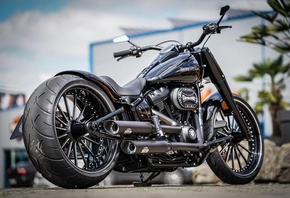 harley davidson, custom, thunderbike