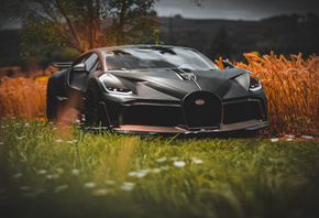 Bugatti, Divo, 