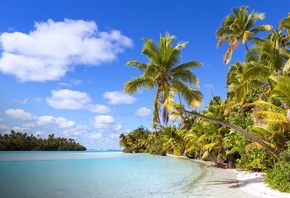 �������, �����, ������