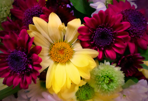 ��������, ���, �����