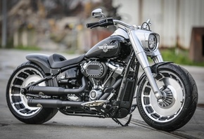 harley davidson, custom, thunderbike