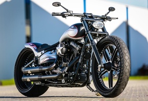 harley davidson, custom, thunderbike, softail