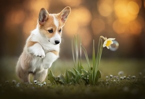 ��������, ������, ��, �����, �������, �����, ������, �������, ����