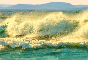 ����, �����, ������