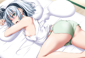 �����, �������, �����