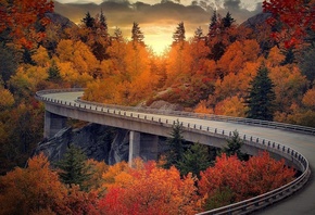 ������� ����, ������