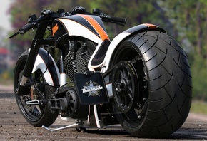 harley davidson, custom, thunderbike