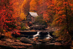 ���, �������, �����, �������